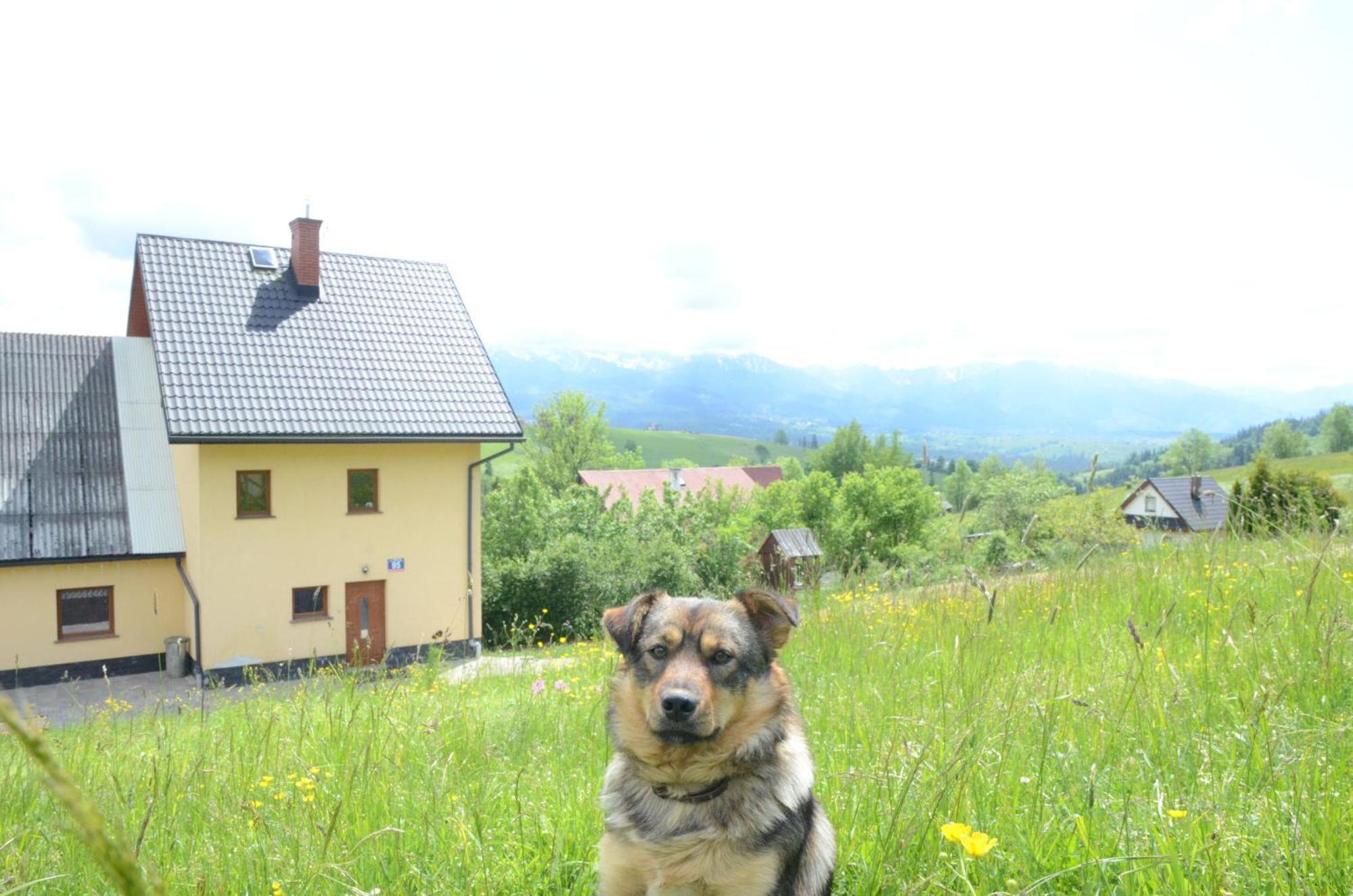 Wynajem Pokoi Zofia Gal Gliczarow Gorny Hotel Bagian luar foto